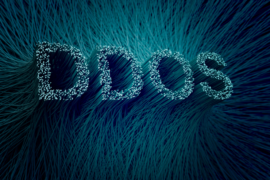 DDoS Protection